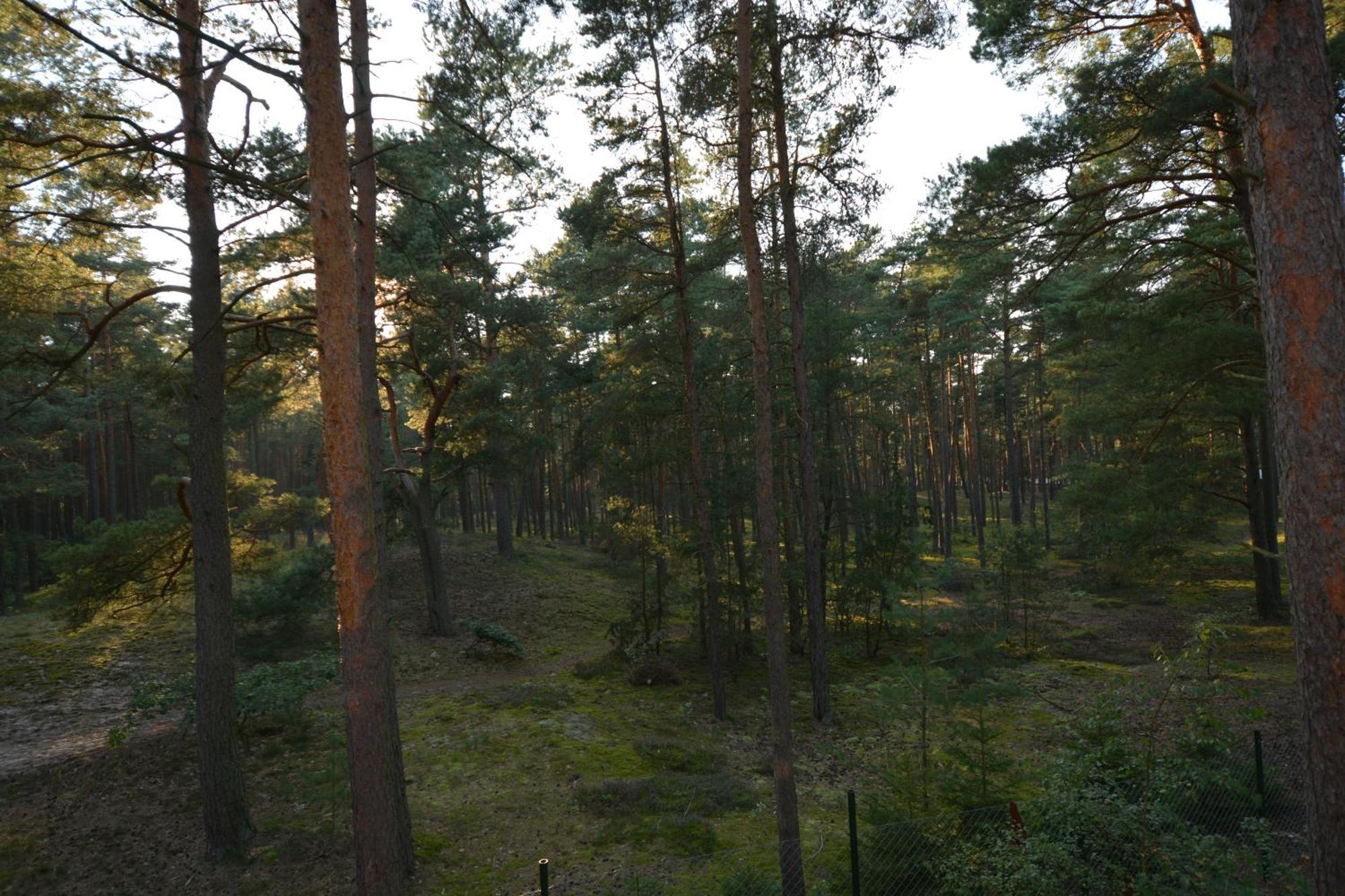 Domyletnie Pobierowo Dom 100M2 Z Dzialka I Balkonem Exterior foto